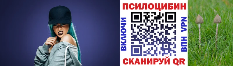 хочу Казань Галлюциногенные грибы мухоморы